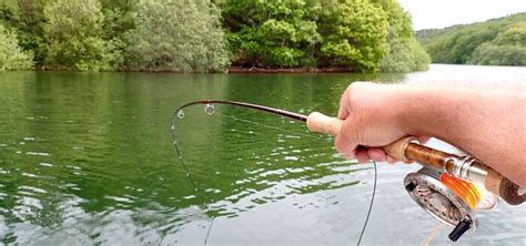 Buy a rod fishing licence: Fishing in Scotland and Northern .